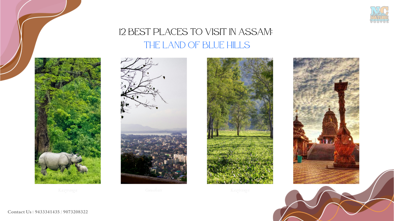 best places to visit in assam, best places to visit in assam and meghalaya, Assam tourist places